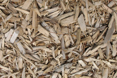 biomass boilers Burnfoot